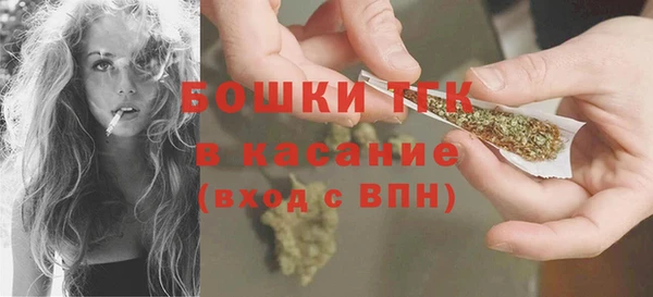 шишки Белокуриха