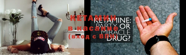шишки Белокуриха