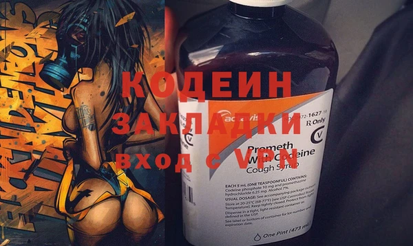 шишки Белокуриха