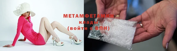 шишки Белокуриха