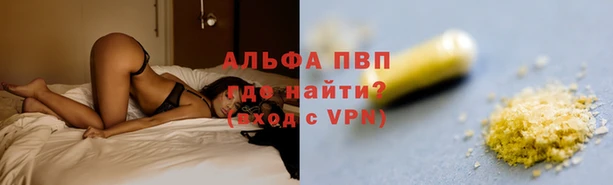 шишки Белокуриха