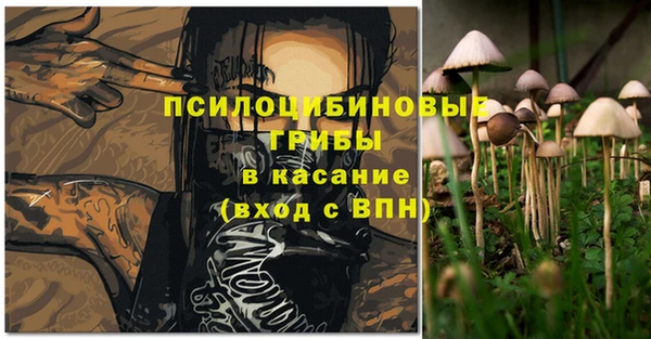 шишки Белокуриха