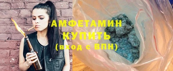 шишки Белокуриха