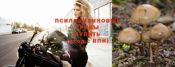 2c-b Белоозёрский