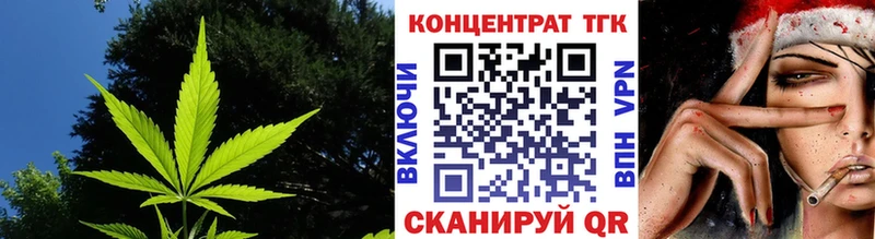 Купить закладки  Богородск  ТГК вейп 